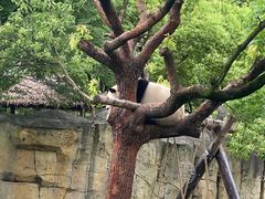 -上海野生动物园