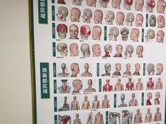 -通透堂中医·精准推拿(旗舰店)