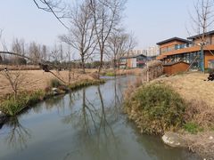 -两河城市森林公园