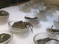 -半岛翡丽海鲜自助餐厅(观风亭店)