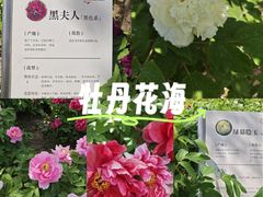 -太阳宫公园