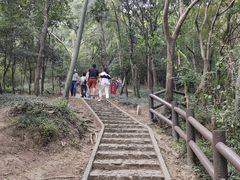 -上海佘山国家森林公园天马山园