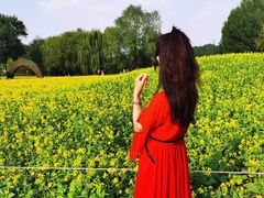 -长白岛森林公园