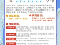 -瑞派申生动物医院·24H夜诊·国际动物医疗中心·骨外科(吴中路店)