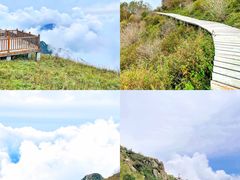 -白草畔自然风景区