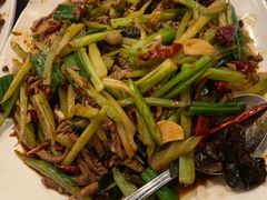-滋味成都