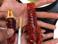 -盱眙红叶龙虾(金源北路店)