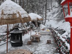 -峡谷浮石林景区
