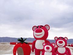 -盐湖景区