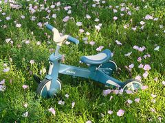 -汉长安城未央宫国家考古遗址公园