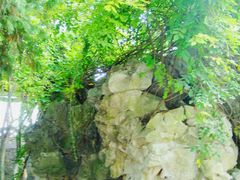 -瀛洲公园