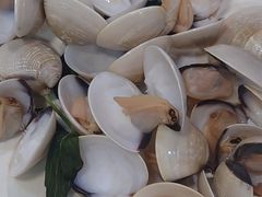 -海大大蒸汽海鲜餐厅·粤菜·特色小炒(欢乐颂店)