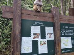 -姑婆山旅游区
