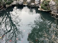 -灵隐飞来峰景区
