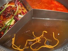 鸳鸯锅-廖掌柜·重庆鲜货火锅(上海首店)