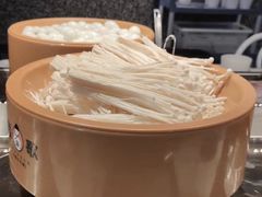 -龍歌自助小火锅(崂山丽达店)