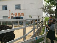-临沂动植物园