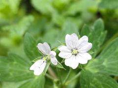 -贵州省植物园