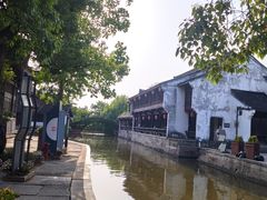 -鲁镇