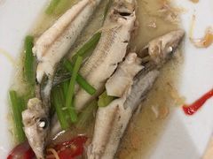 -老三鱼仔店