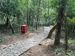 -上海佘山国家森林公园天马山园