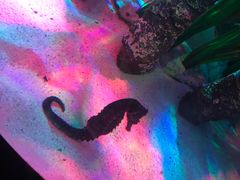 -沈阳海洋探索中心