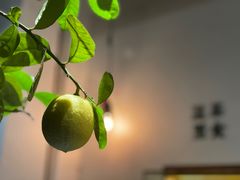 -幸会吉市(丰泽店)