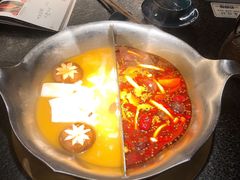 台式麻辣花胶鸡鸳鸯锅-湊湊火锅·茶憩(世博大道店)