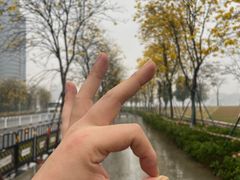 -洲头咀公园