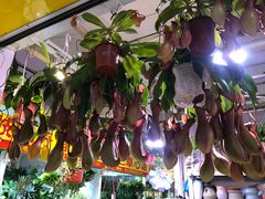 -三旗百汇商品城