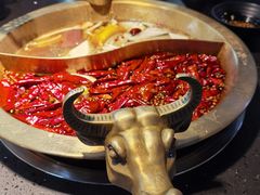 -锅说大脸毛肚重庆老火锅(佐阾店)