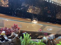-红辣椒·川菜·火锅(张杨路店)