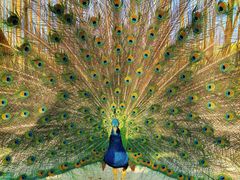 -昆山城市生态森林公园