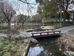 -陈家山荷花公园