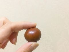 -小宝栗子(嘉华国际商业中心店)