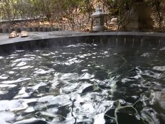 -明月山天沐温泉度假村