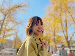 -三里屯东五街银杏大道