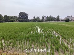 -嘉北郊野公园