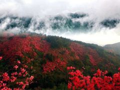 -木兰云雾山