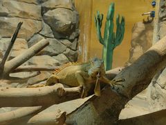 -绿色星球动物主题公园