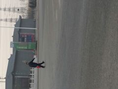 -大港湿地公园