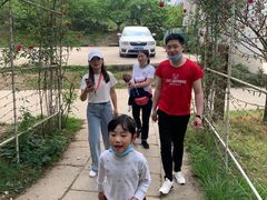 -秀丽东方