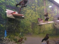 -下渚湖国家湿地公园科普馆