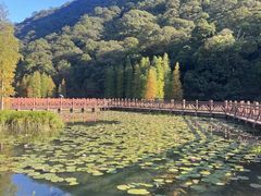 -广州市石门国家森林公园