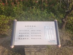 -澹台湖公园