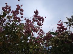 -橘洲1925湖湘餐厅