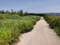-光明小镇欢乐田园