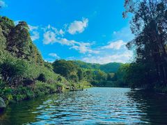 -深圳仙湖植物园