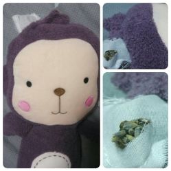 -WPlus明星肖像亲子全家福摄影
