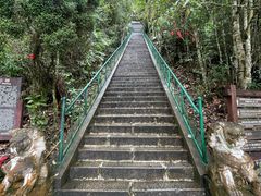 -云南屏边大围山国家公园